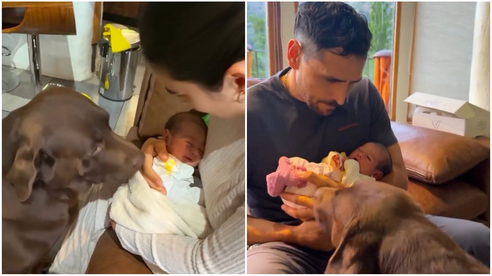 Perro de Pangal Andrade conoce a Alanna