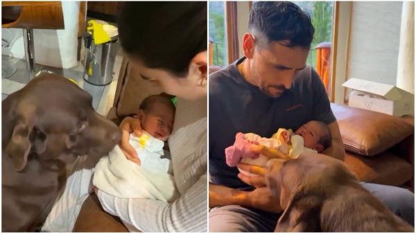 Perro de Pangal Andrade conoce a Alanna