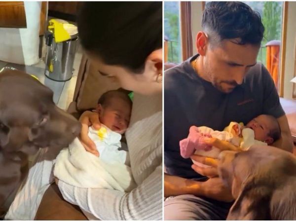 Perro de Pangal Andrade conoce a Alanna