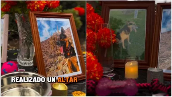 Día de los Muertos para las mascotas