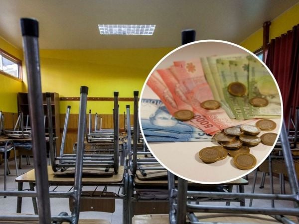 Tesorera de Los Lagos es investigada por PDI