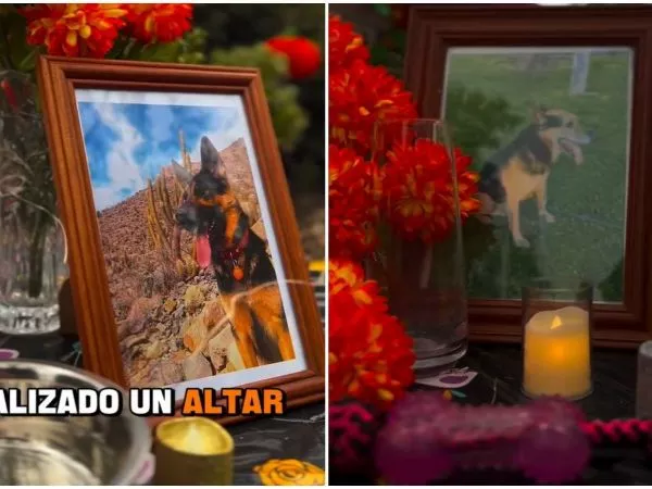 Día de los Muertos para las mascotas
