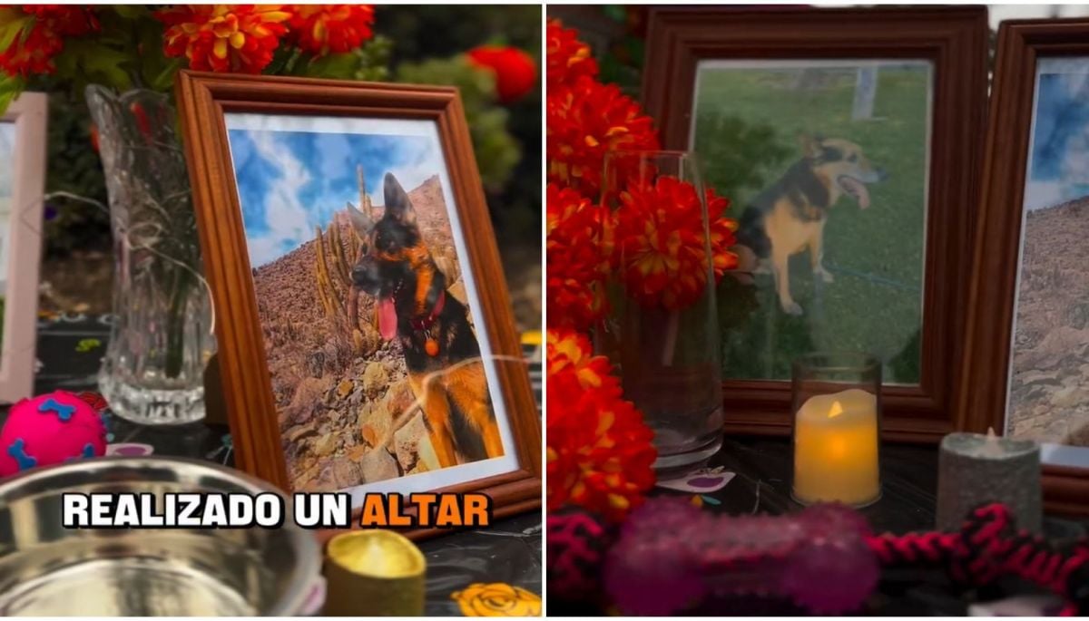 #Nacional 
Día de los Muertos de las Mascotas: Carabineros tendrá altar para recordarlas
Más detalles ⬇