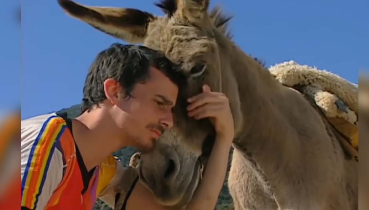 ✨ #Tendencias 

La llamativa reacción de Pablo Schwarz tras fallecimiento de Héctor Noguera

Más detalles ⬇