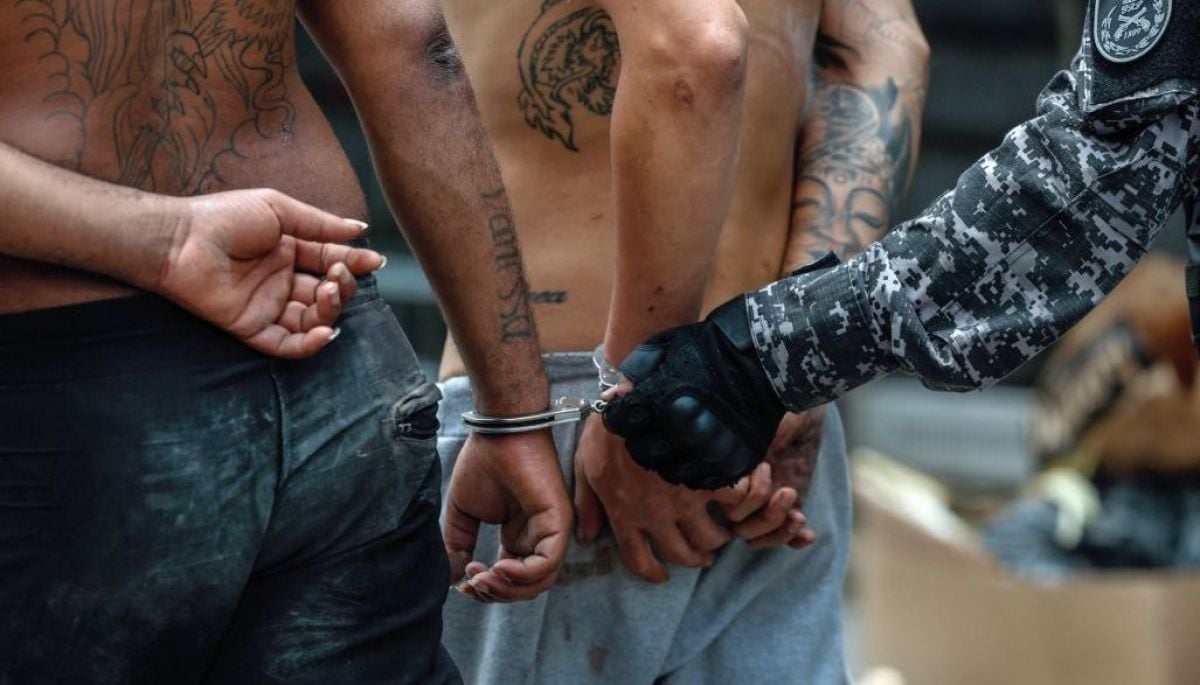 #Internacional 
Megaoperativo antinarco en favelas de Río: sube a 64 la cifra de muertos y 81 la de detenidos 
Más detalles ⬇