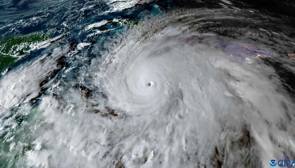 ✨ #Tendencias    
La Tierra se acerca al "caos climático" y sus signos vitales alcanzan niveles récord
 
Más detalles ⬇