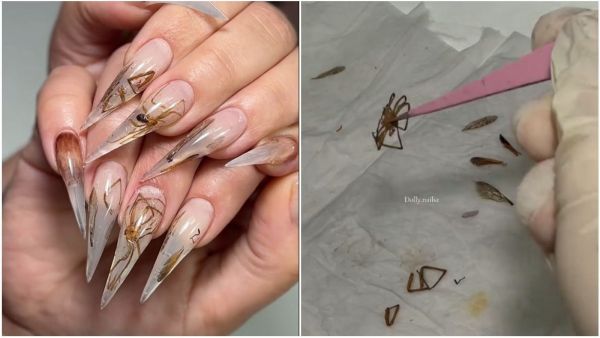 Manicurista chilena hace uñas con insectos