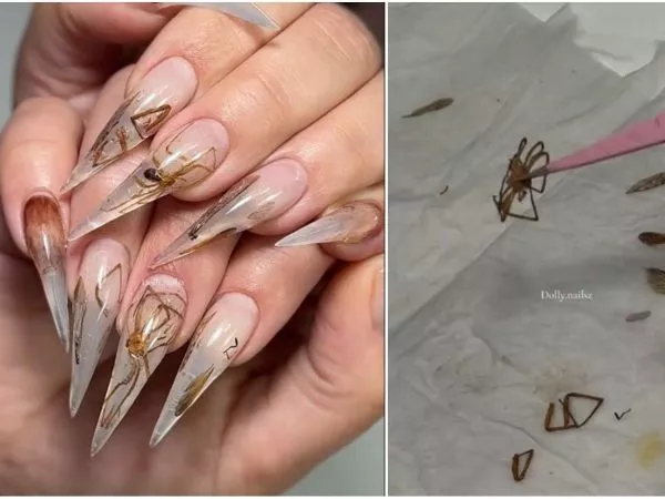 Manicurista chilena hace uñas con insectos