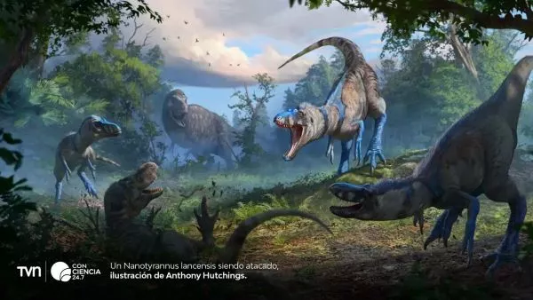 Ilustración de un Nanotyrannu lancensis.