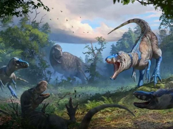 Ilustración de un Nanotyrannu lancensis.