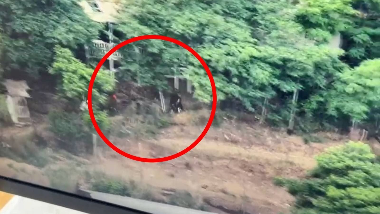 Sujetos escapando en San Vicente de Tagua Tagua