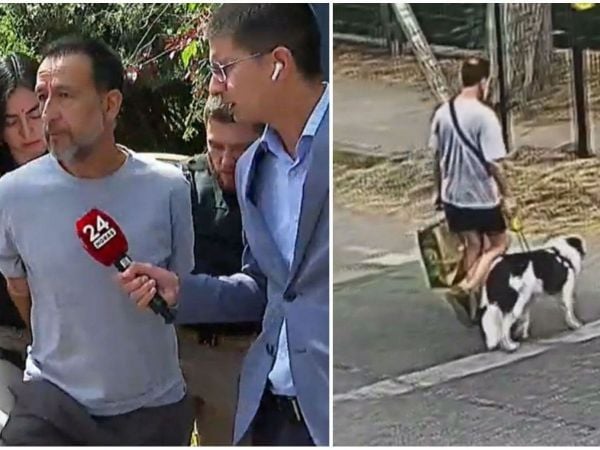 Abogado explica por qué había sangre en la casa de Jorge Ugalde y apuntó al perro