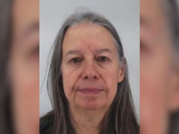 Trinidad Cruz-Coke, declaración