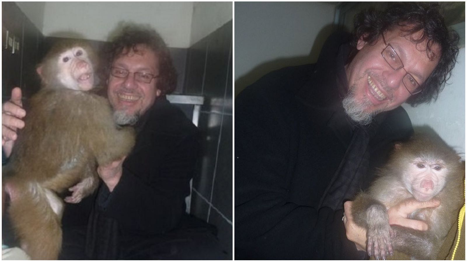 Ricardo Lagos Weber explica su foto con un mono