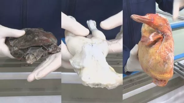 Productos del mall chino fiscalizado