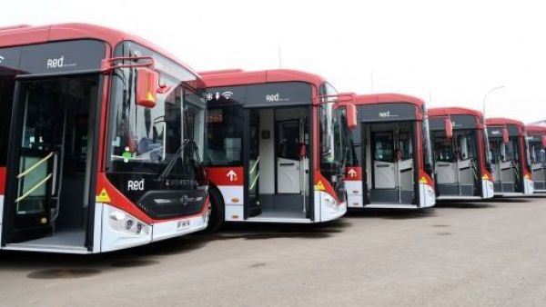 Transporte gratis en elecciones