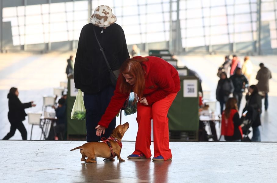 Mascota en local de votación en elecciones 