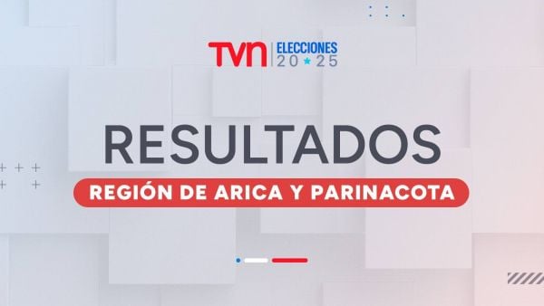Resultados Elecciones 2025: senadores de Arica y Parinacota