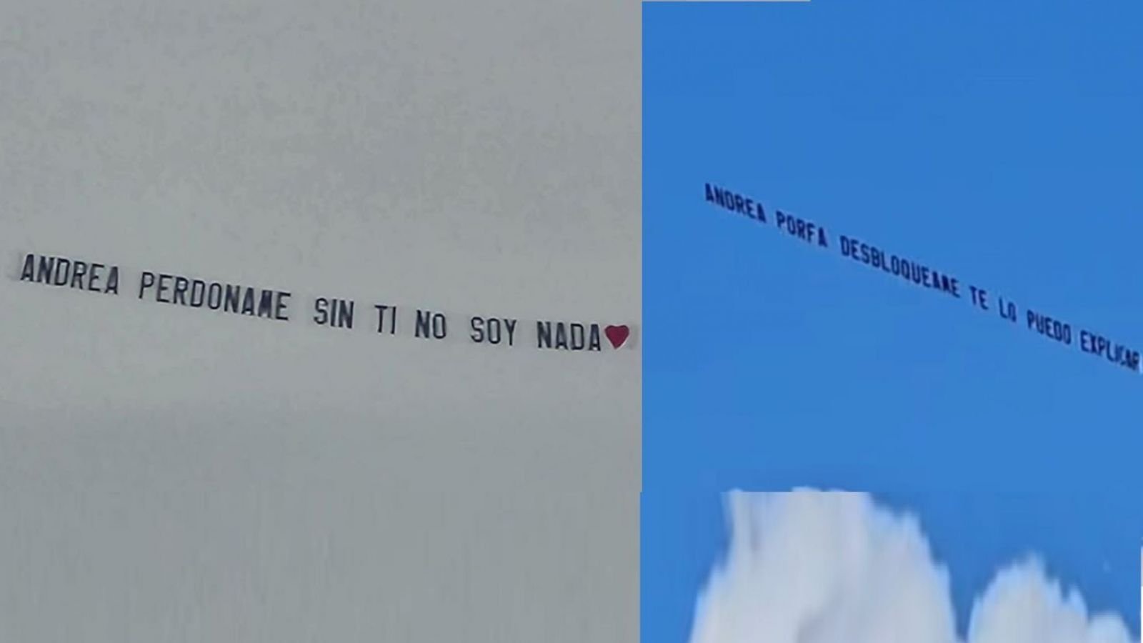 Andrea perdóname