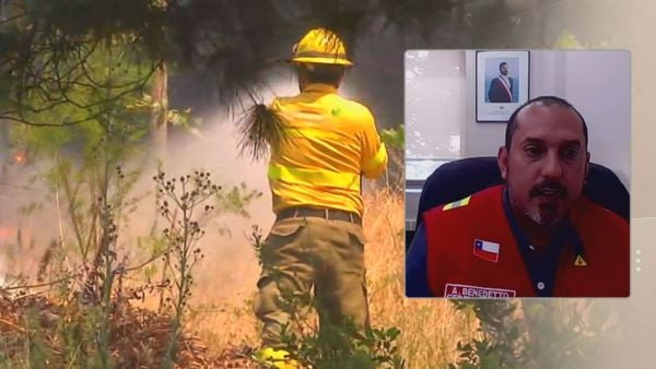Gerente de Conaf por temporada de incendios forestales