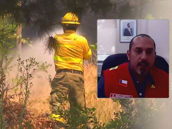 Gerente de Conaf por temporada de incendios forestales