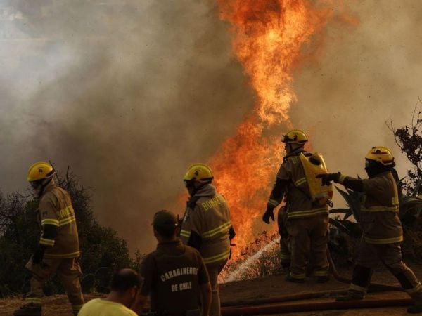 Bomberos combatiendo un incendio forestal