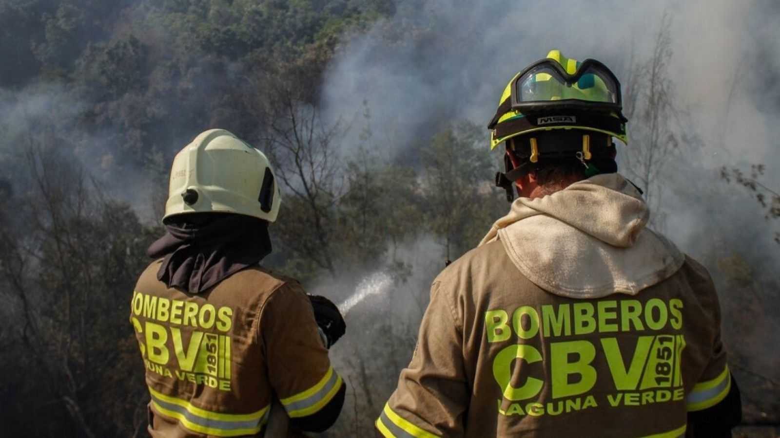 Imagen referencial incendio forestal