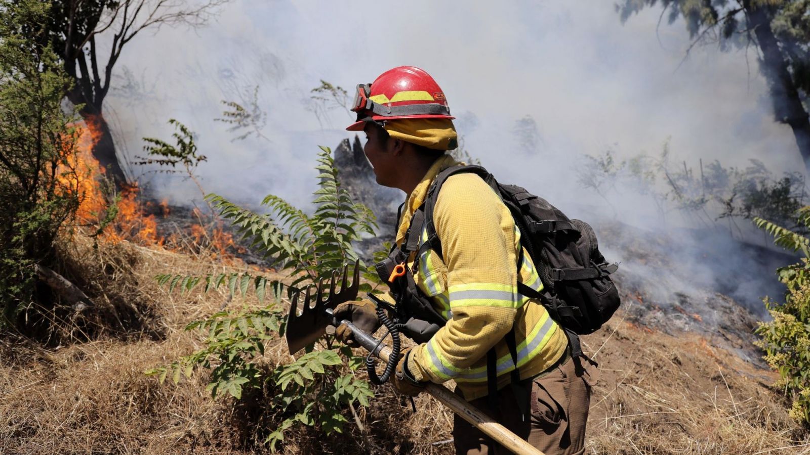 incendios forestales Chile