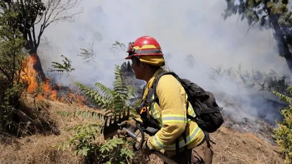 incendios forestales Chile