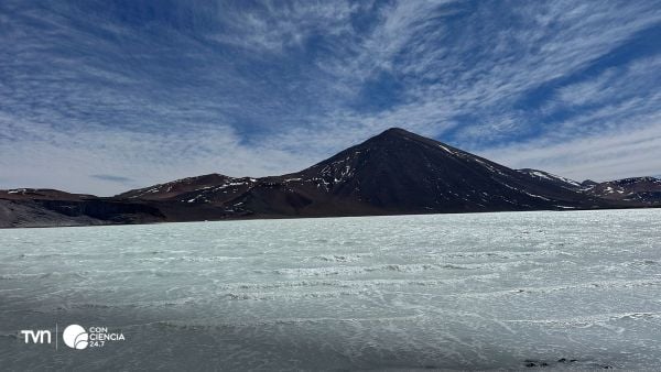 Chile crea seis nuevas áreas protegidas para resguardar salares en Atacama.
