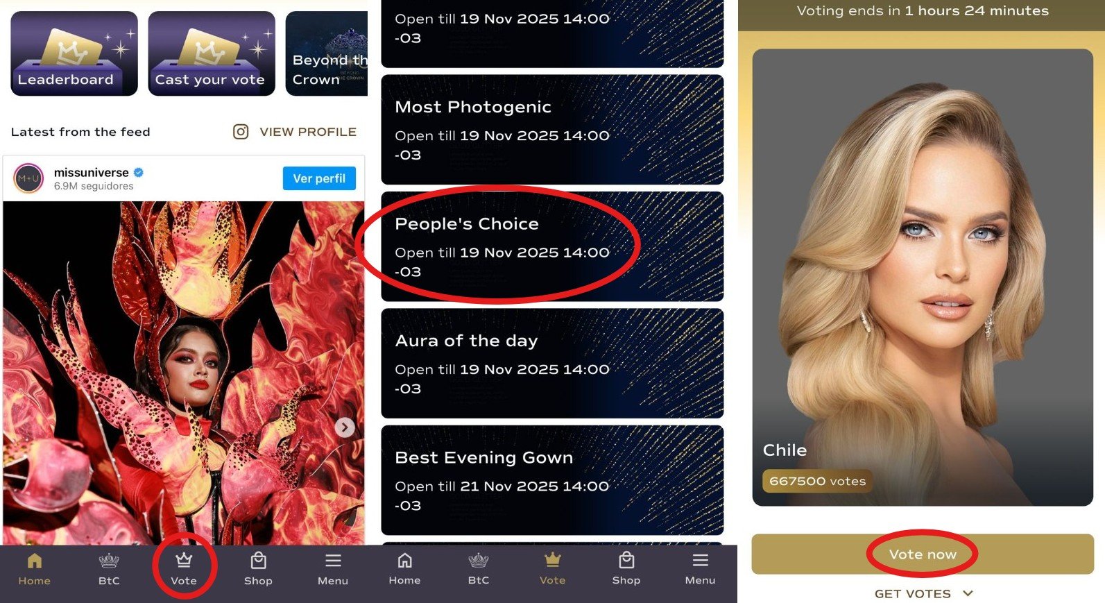 El paso a paso para votar por Inna Moll