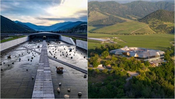 Viña chilena fue premiada como la mejor del mundo