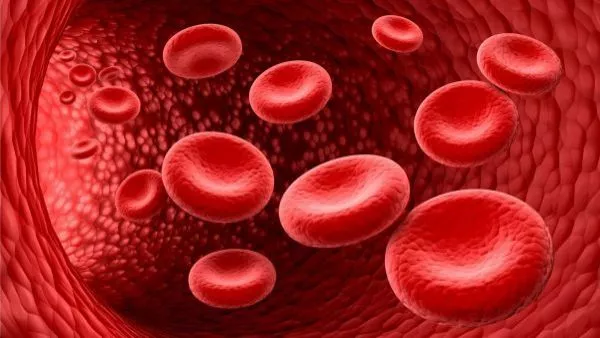 Cancer hematológico