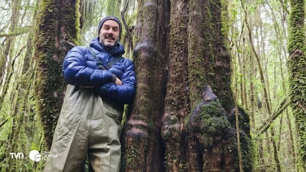 Investigador de la UACh estudiando los bosques-humedal de temo y pitra en el sur de Chile.