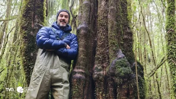 Investigador de la UACh estudiando los bosques-humedal de temo y pitra en el sur de Chile.