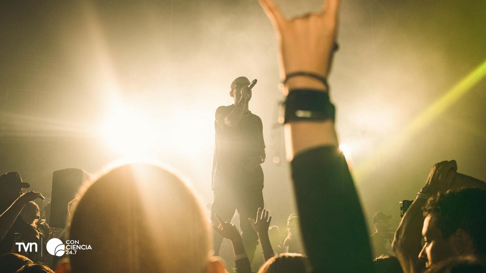 Rockstar genérico, que vivirá casi 5 años menos.