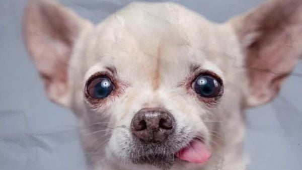 Conciencia 24.7 en 24 Horas: 27 de noviembre de 2025