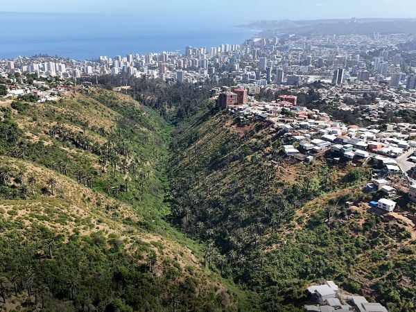 Humedal Urbano Kan Kan en Viña del Mar.
