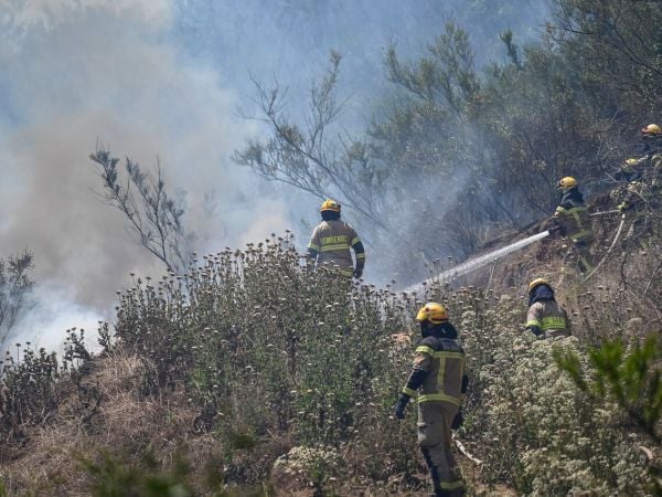 Combaten incendio