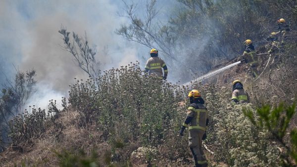 Combaten incendio