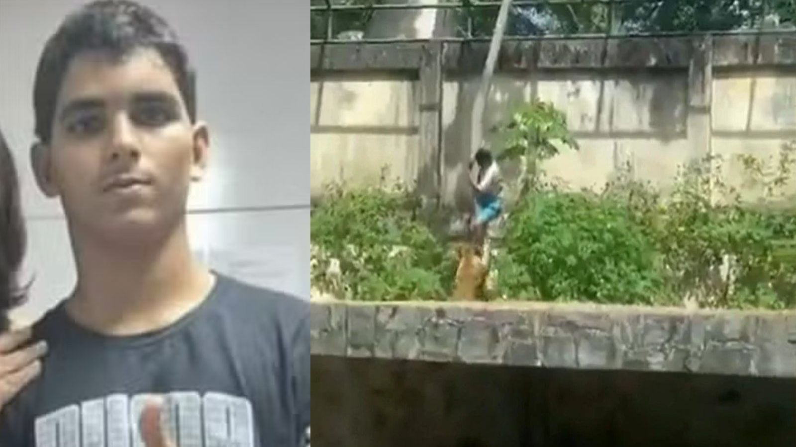 Joven atacado por leona en zoológico de brasil