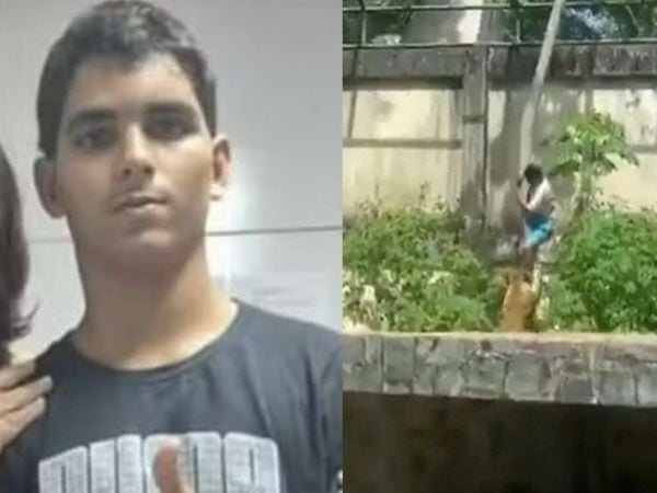 Joven atacado por leona en zoológico de brasil