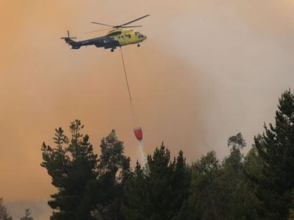 INCENDIO FORESTAL