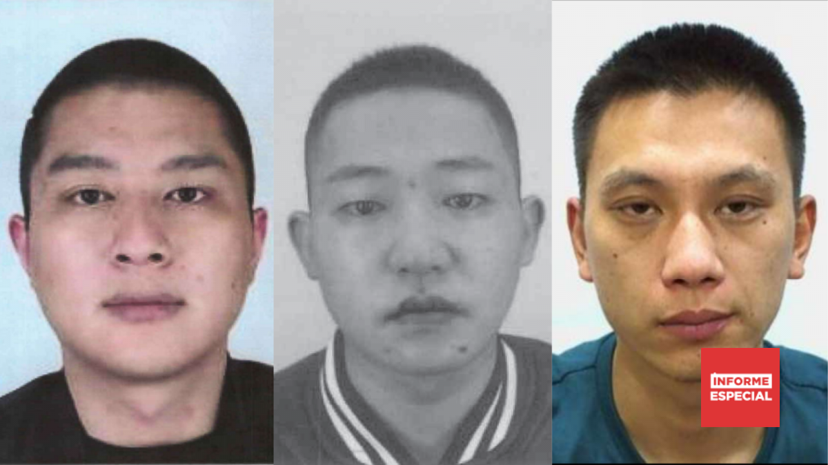 El Tridente De La Mafia China Que Cay En La Operaci n Muralla el-tridente-de-la-mafia-china-que-cay-en-la-operaci-n-muralla