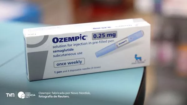 Ilustración del cerebro humano mostrando las zonas de recompensa afectadas por fármacos GLP-1 como la semaglutida.