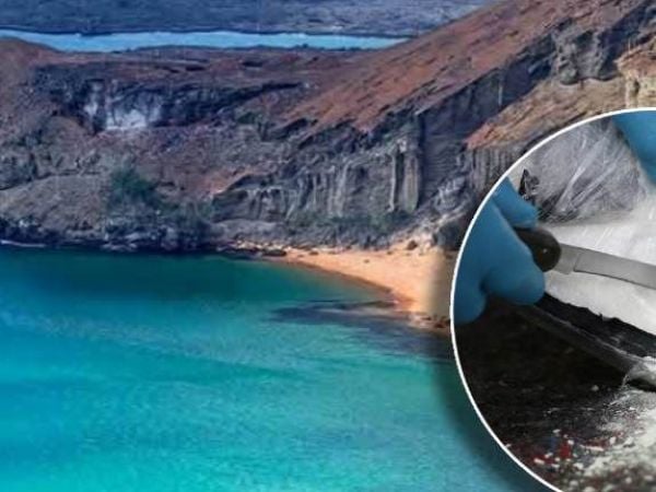 Encuentran más de 1.300 bloques de cocaína en playa de las Islas Galápagos