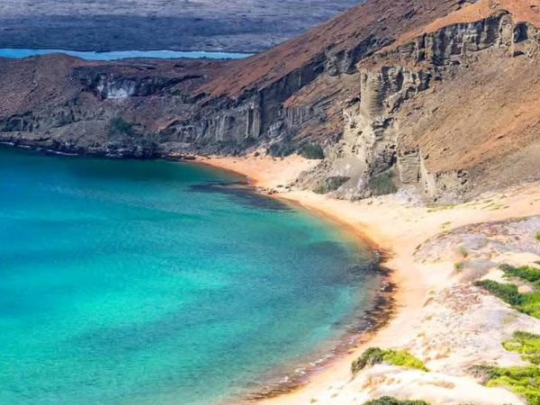 Encuentran más de 1.300 bloques de cocaína en playa de las Islas Galápagos