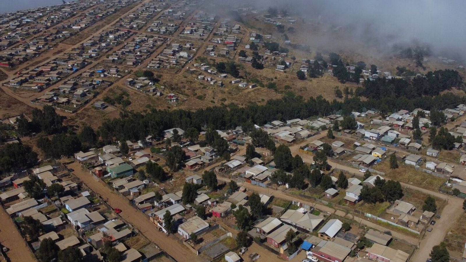 Megatoma en San Antonio