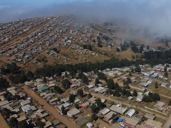 Megatoma en San Antonio