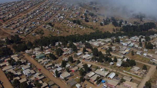 Megatoma en San Antonio